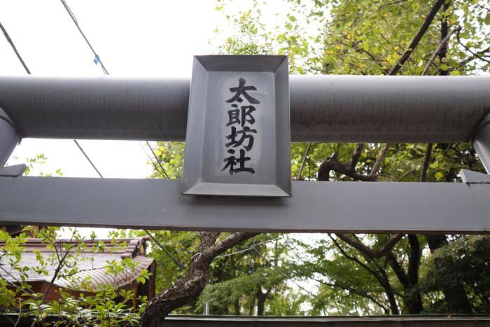 【東京】愛宕神社で仕事運をチャージ！御朱印やおみくじなどもご紹介