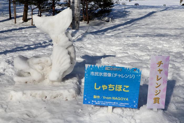 【北海道】十勝地方の冬まつりは市民のための素敵なイベント