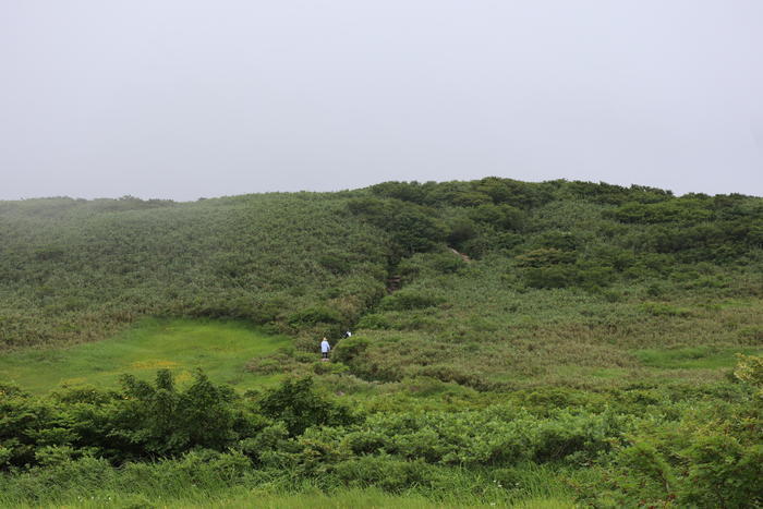 【山形】月山八合目・弥陀ヶ原湿原の歩き方