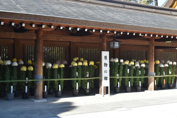 【神奈川県】寒川神社で八方除！ 境内・お守り・御朱印まで徹底紹介