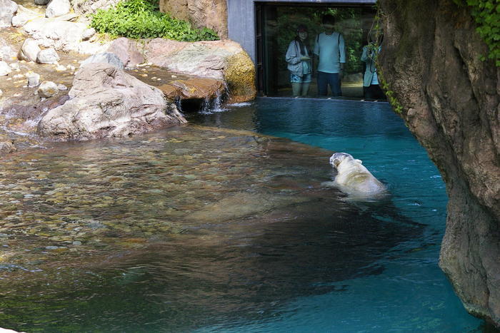 【徹底取材】よこはま動物園ズーラシアの攻略法・アクセス・混雑状況まで!家族サービスにもデートにもおすすめです!