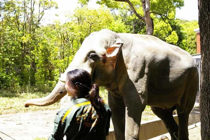 【徹底取材】よこはま動物園ズーラシアの攻略法・アクセス・混雑状況まで！家族サービスにもデートにもおすすめです！