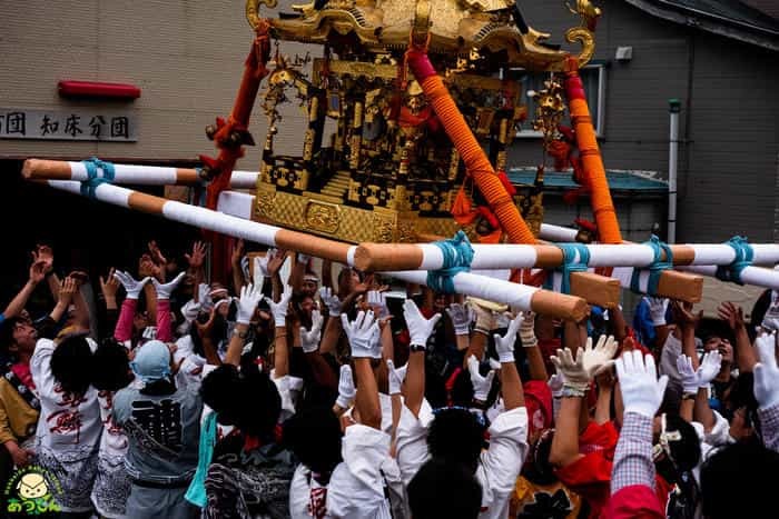 お神輿が空を飛ぶ！？礼文島厳島神社祭に行ってきた！！