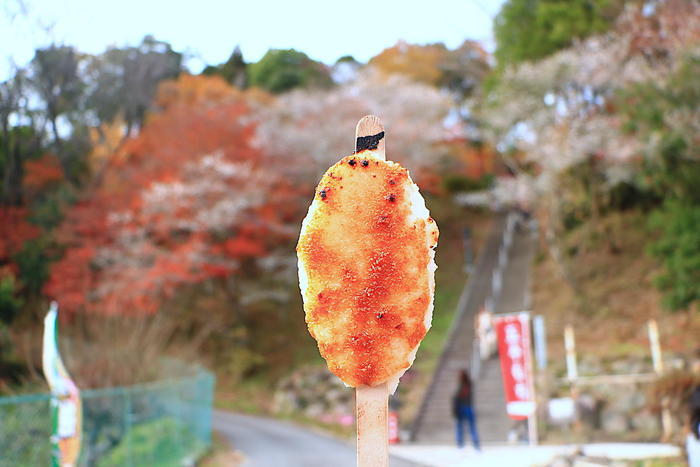 【四季と宿をめぐる旅】愛知県〜みのや旅館と四季桜〜