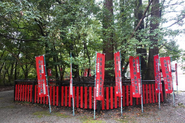 中世に出逢える町・河内長野の魅力をたっぷり紹介します!