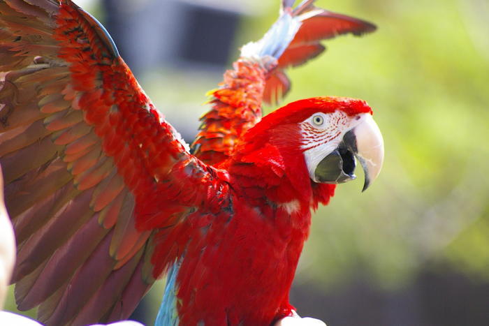 【徹底取材】よこはま動物園ズーラシアの攻略法・アクセス・混雑状況まで！家族サービスにもデートにもおすすめです！