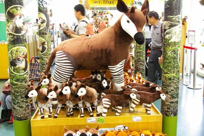 【徹底取材】よこはま動物園ズーラシアの攻略法・アクセス・混雑状況まで！家族サービスにもデートにもおすすめです！