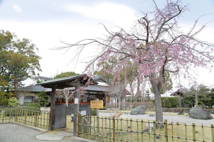 【愛知】小旅行に最適！西尾のおすすめスポット