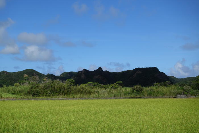 種子島