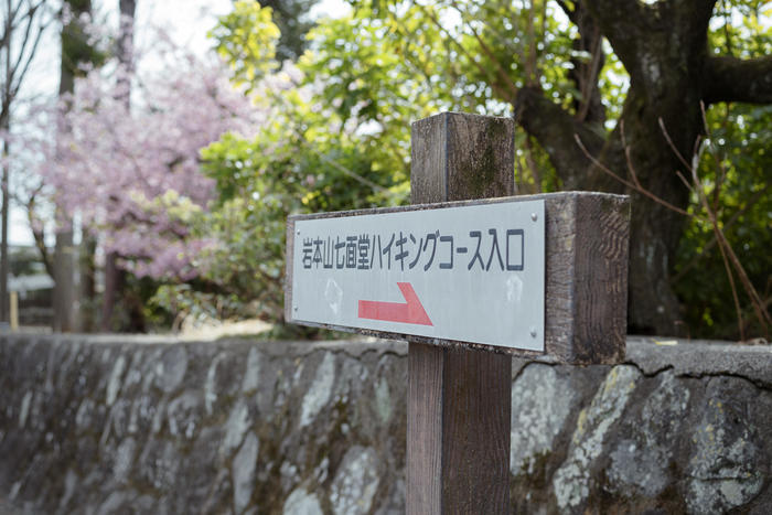 【富士山と花の眺望】30分のお手軽ハイキングと寄り道スポット