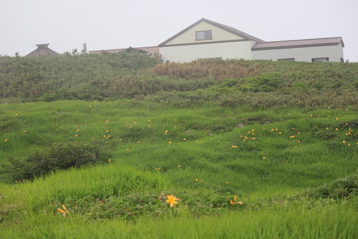 【山形】月山八合目・弥陀ヶ原湿原の歩き方