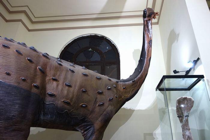 【ペルー】リマ自然史博物館と、史上最も重い動物「ペルセトゥス・コロッスス」の化石