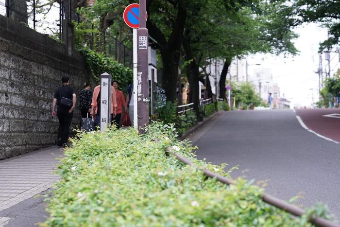 下町情緒を感じよう！谷根千お散歩コースを実際に歩いてみた