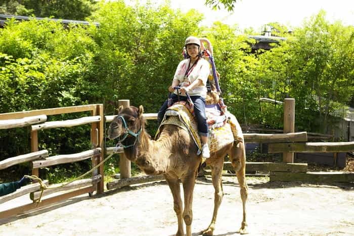 【徹底取材】よこはま動物園ズーラシアの攻略法・アクセス・混雑状況まで！家族サービスにもデートにもおすすめです！