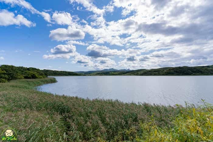 絶景の連続!北海道・礼文島でトレッキングを楽しもう~岬めぐりコース編~