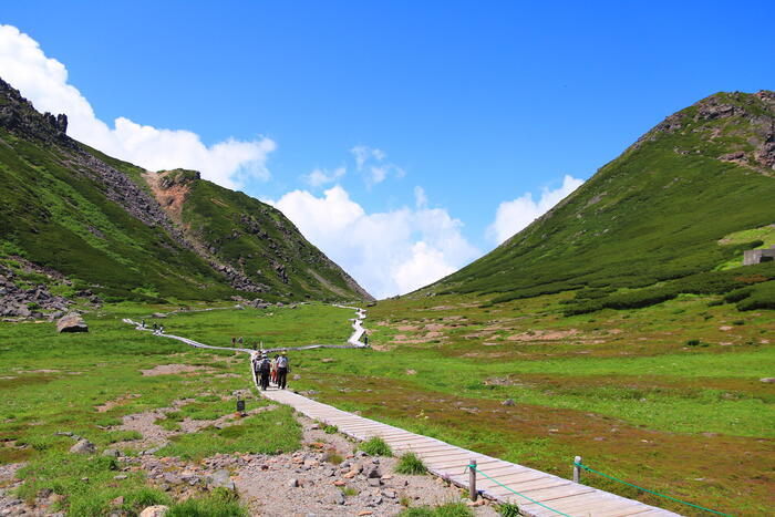 【山と秘湯をめぐる】岐阜県〜高山植物が咲く乗鞍岳と癒しの奥飛騨温泉郷〜