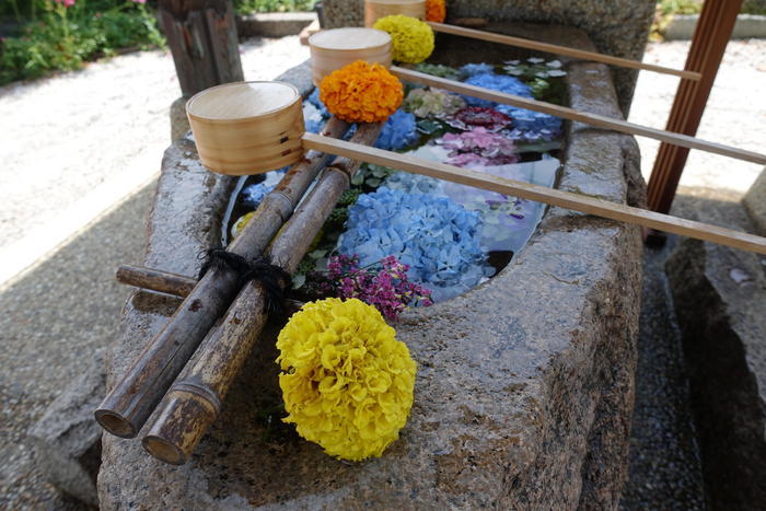 【兵庫県尼崎市】繊細で素敵な御朱印がいただける水堂須佐男神社