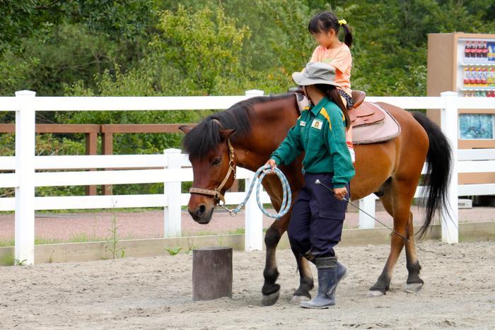 【徹底取材】よこはま動物園ズーラシアの攻略法・アクセス・混雑状況まで！家族サービスにもデートにもおすすめです！