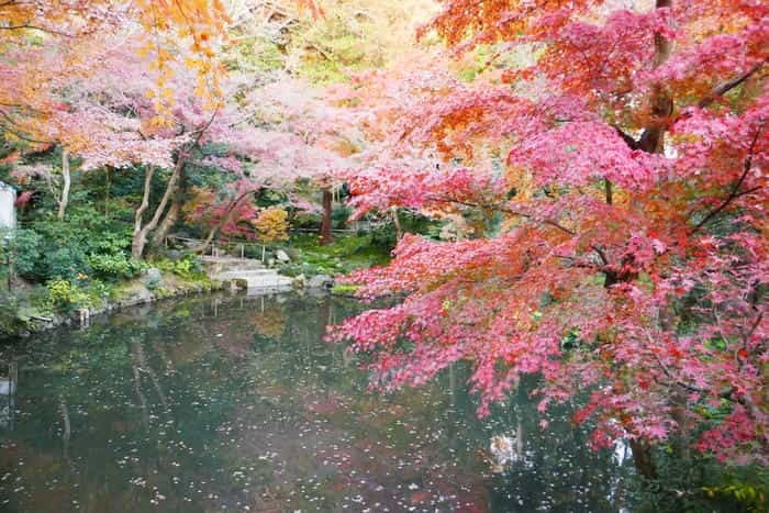 【鎌倉歴史さんぽ：入門編】源頼朝ゆかりの「鶴岡八幡宮」へ