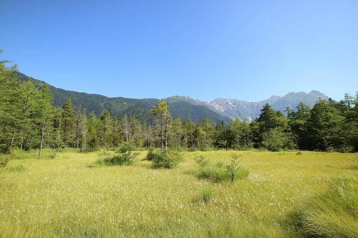 夏の避暑地「上高地」へ行ってきました！