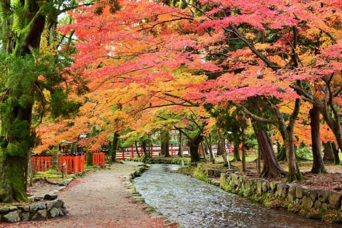 【京都】上賀茂神社（賀茂別雷神社）の見どころ・パワースポット・御朱印などを徹底解説