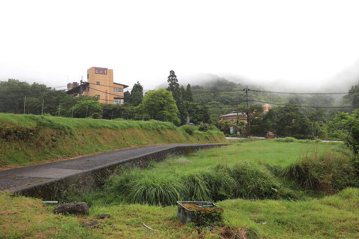 【四季と宿をめぐる旅】大分県〜旅館かくおやとミヤマキリシマのくじゅう連山〜