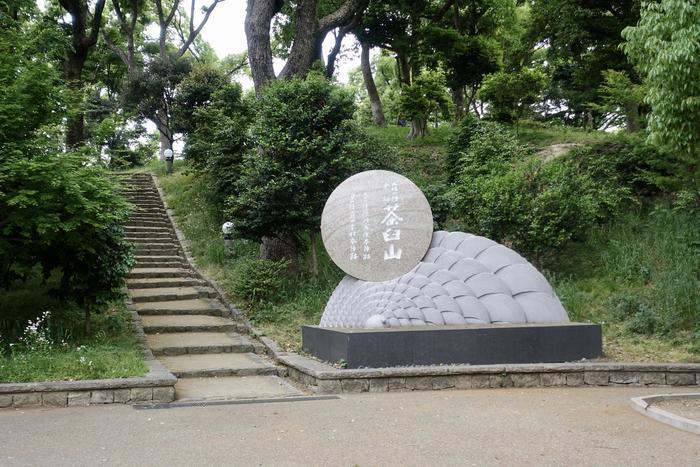 【歴史散歩】大坂の夏の陣の激戦地を巡ってみた！