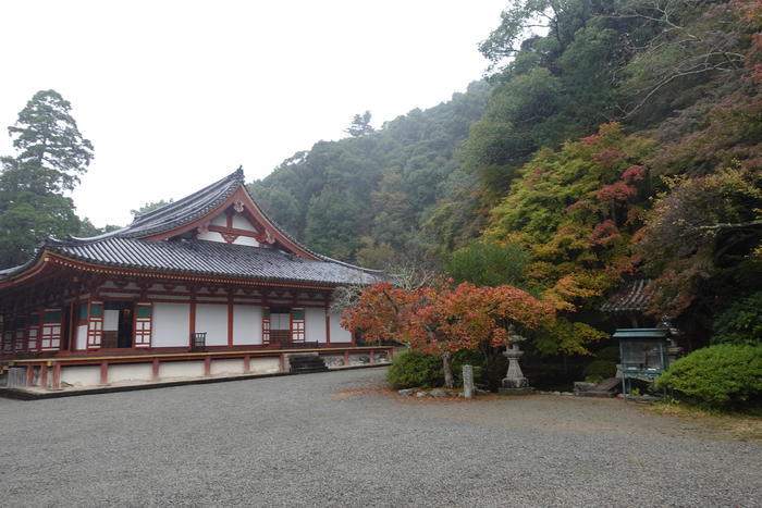 中世に出逢える町・河内長野の魅力をたっぷり紹介します!
