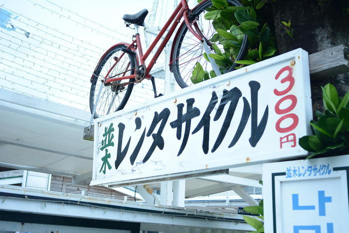 美ら海水族館から車で3分！フクギ並木や備瀬ビーチを徹底レポート！