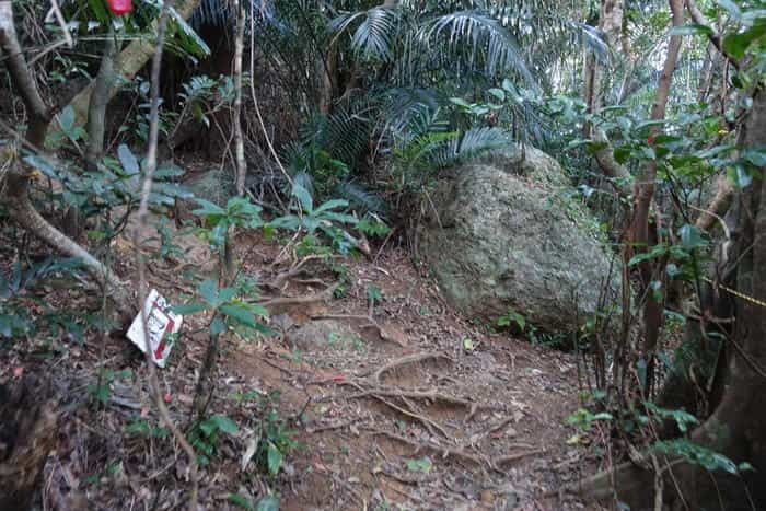 絶景が広がる石垣島の野底マーペー