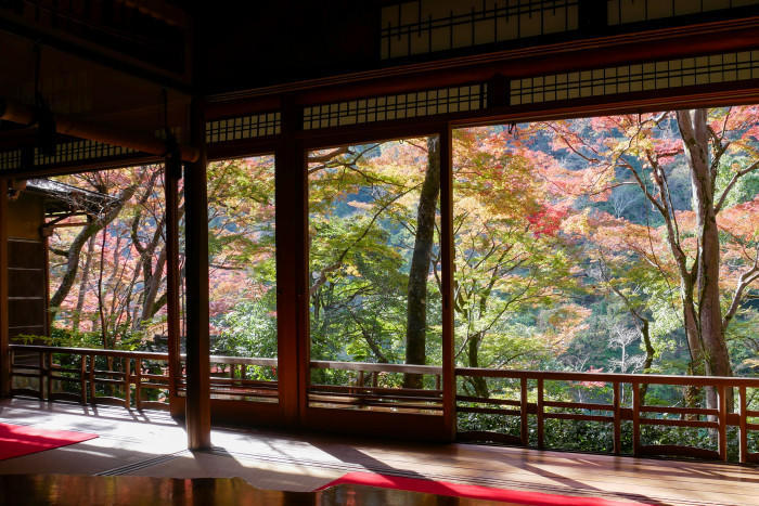 本物の水鏡が美しすぎる！嵐山「祐斎亭」の見どころ・予約方法・行き方まとめ