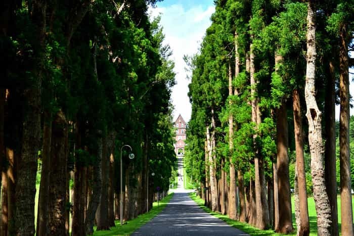 【北海道】おすすめ絶景ドライブコース10選！車窓の景色でストレス発散♪～これからの旅のカタチ～