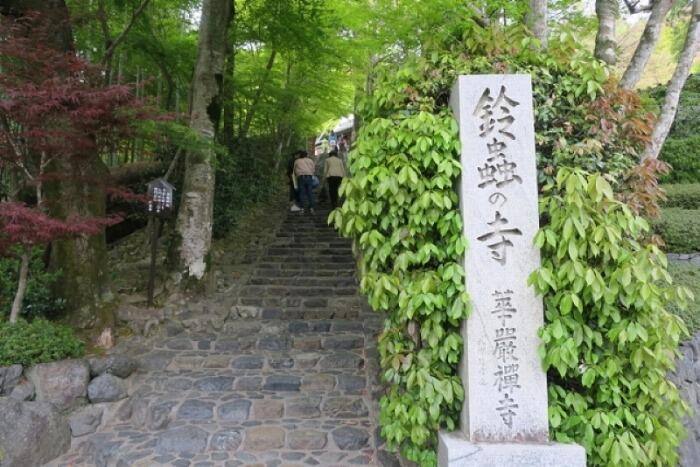 真夏に行きたい！京都市内の避暑地「夏らしい風情のある神社仏閣5選」