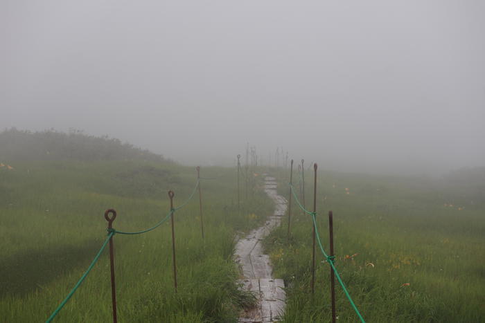 【山形】月山八合目・弥陀ヶ原湿原の歩き方