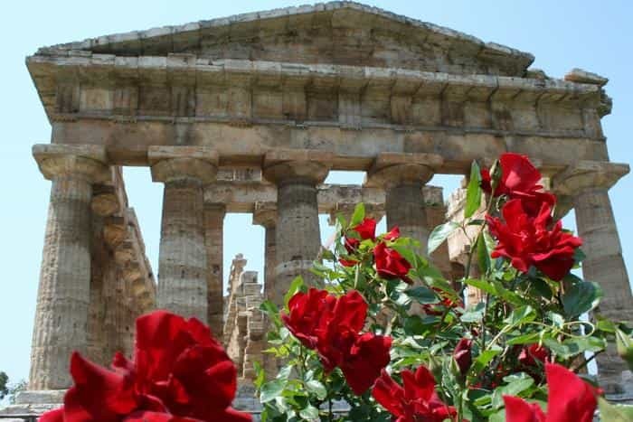 イタリアの中のギリシャ世界 ～南イタリアでギリシャの世界に浸る～