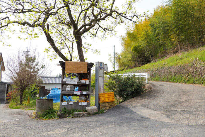 隠れた奈良の絶景ポイント？全長約16kmの古代散歩道「山の辺の道」