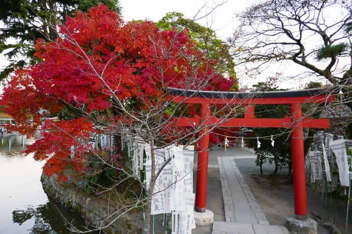 【鎌倉歴史さんぽ：入門編】源頼朝ゆかりの「鶴岡八幡宮」へ