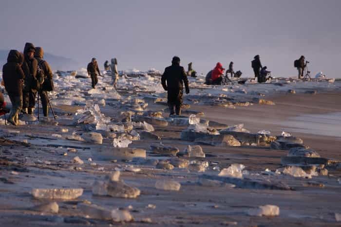 「ここでしか見ることができない」自然が造る宝石が転がっている海岸/北海道ジュエリーアイス