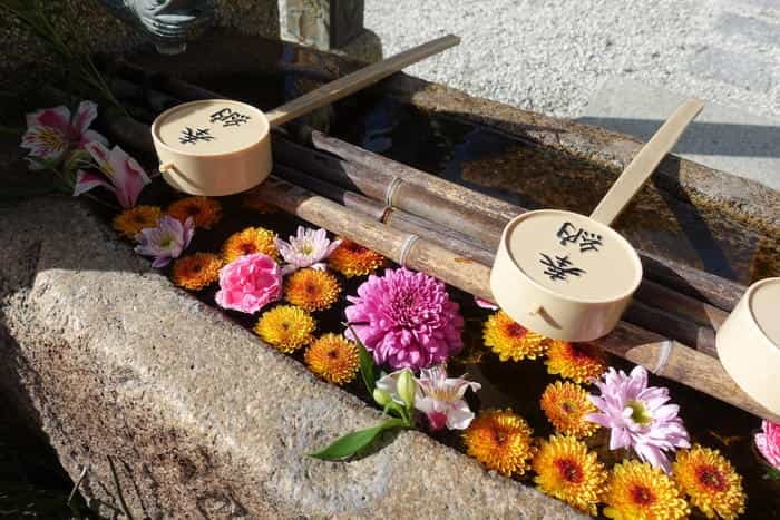 【兵庫県尼崎市】繊細で素敵な御朱印がいただける水堂須佐男神社