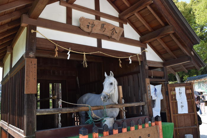 【京都】上賀茂神社（賀茂別雷神社）の見どころ・パワースポット・御朱印などを徹底解説