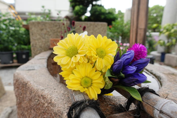 【兵庫県尼崎市】繊細で素敵な御朱印がいただける水堂須佐男神社