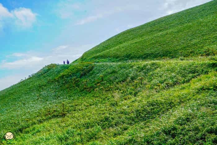 絶景の連続!北海道・礼文島でトレッキングを楽しもう~岬めぐりコース編~