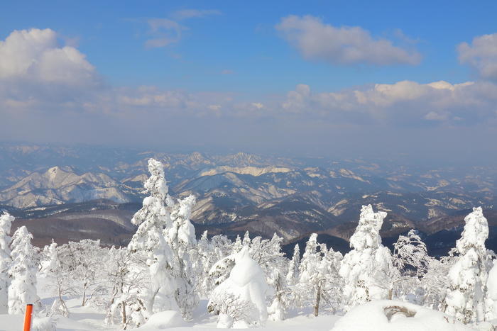 【秋田】日本三大樹氷「森吉山」で見上げる雪の造形美