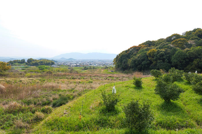 隠れた奈良の絶景ポイント？全長約16kmの古代散歩道「山の辺の道」