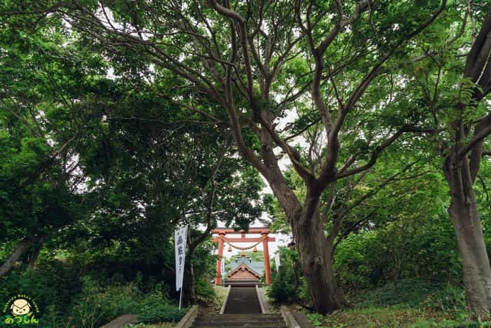 お神輿が空を飛ぶ！？礼文島厳島神社祭に行ってきた！！