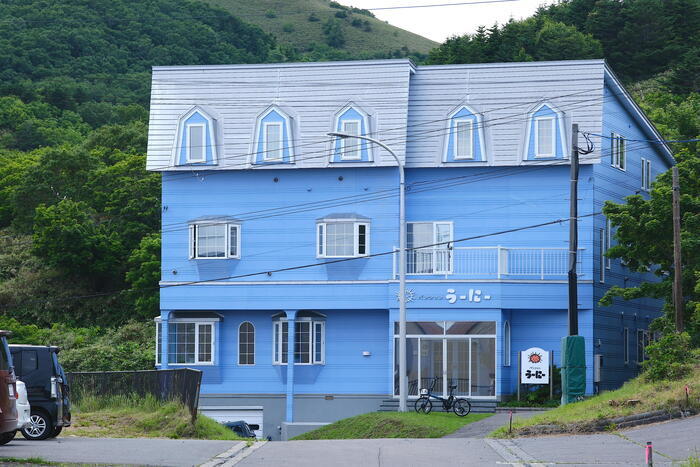 【四季と宿をめぐる旅】北海道〜ペンションうーにーと礼文島の高山植物〜