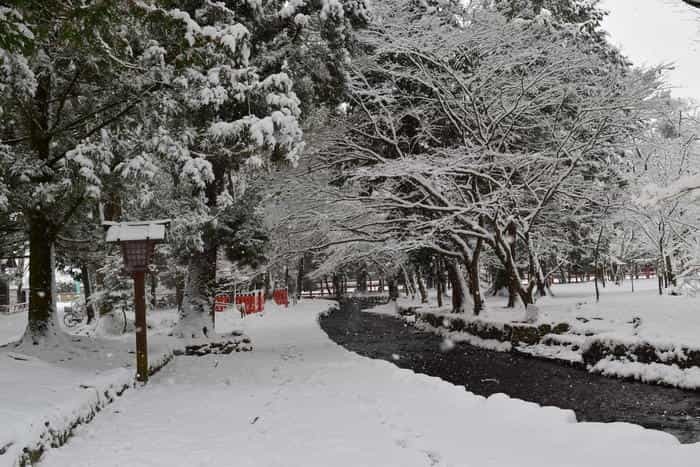 【京都】上賀茂神社（賀茂別雷神社）の見どころ・パワースポット・御朱印などを徹底解説