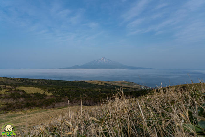 【SNS映え！？】礼文島のフォトジェニックなスポットを一挙紹介！