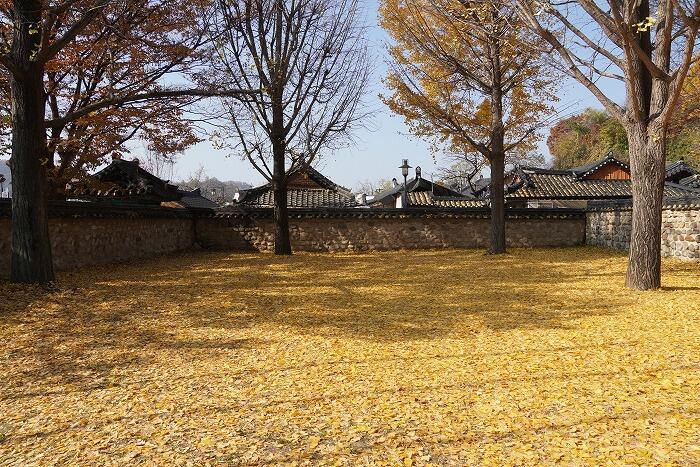 【韓国】ソウルからの日帰り地方旅は、秋の全州がおすすめ！