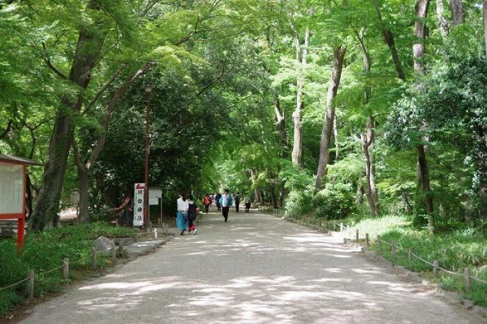 真夏に行きたい！京都市内の避暑地「夏らしい風情のある神社仏閣5選」